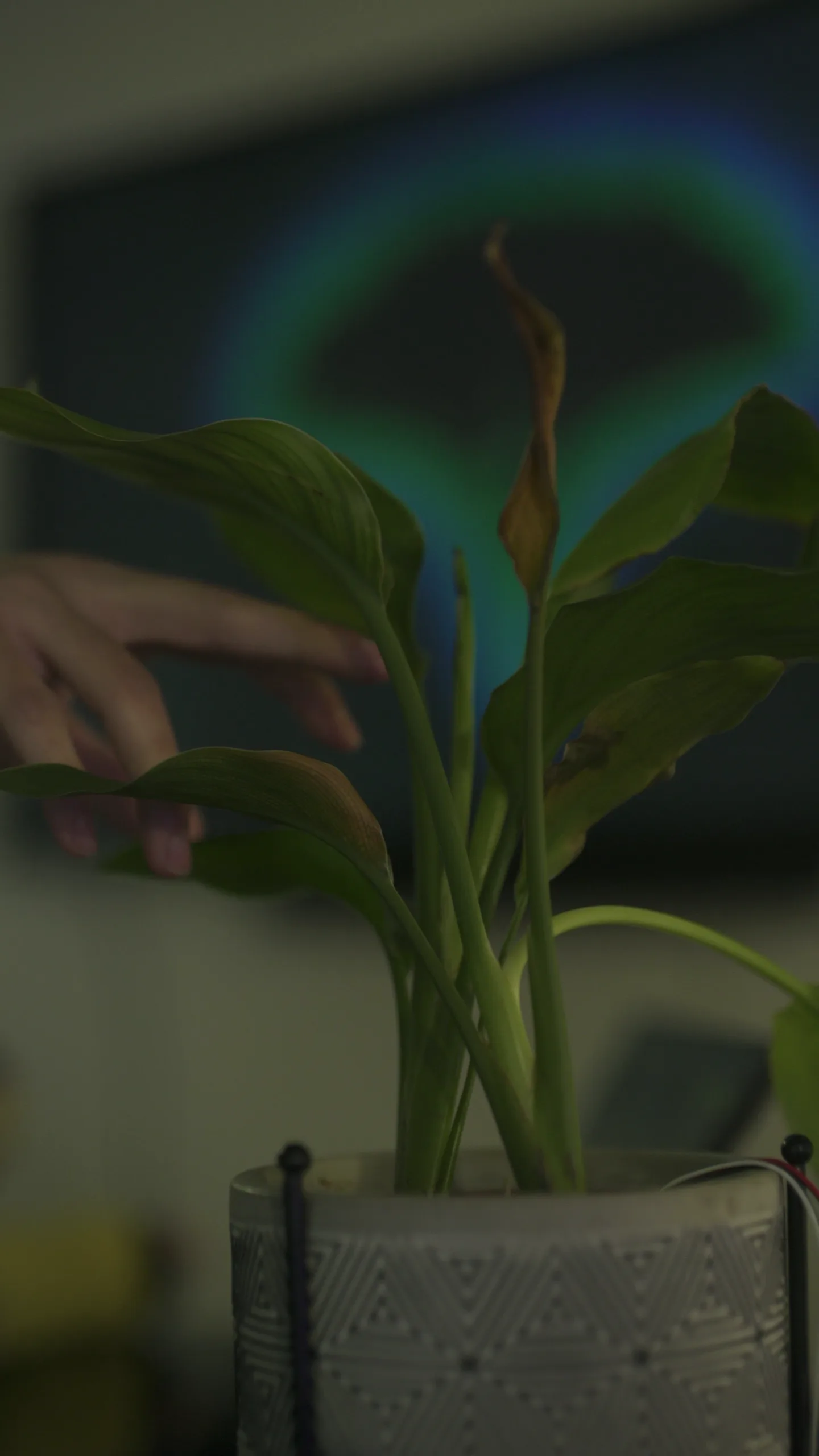 RefraSense, sensory interactive work