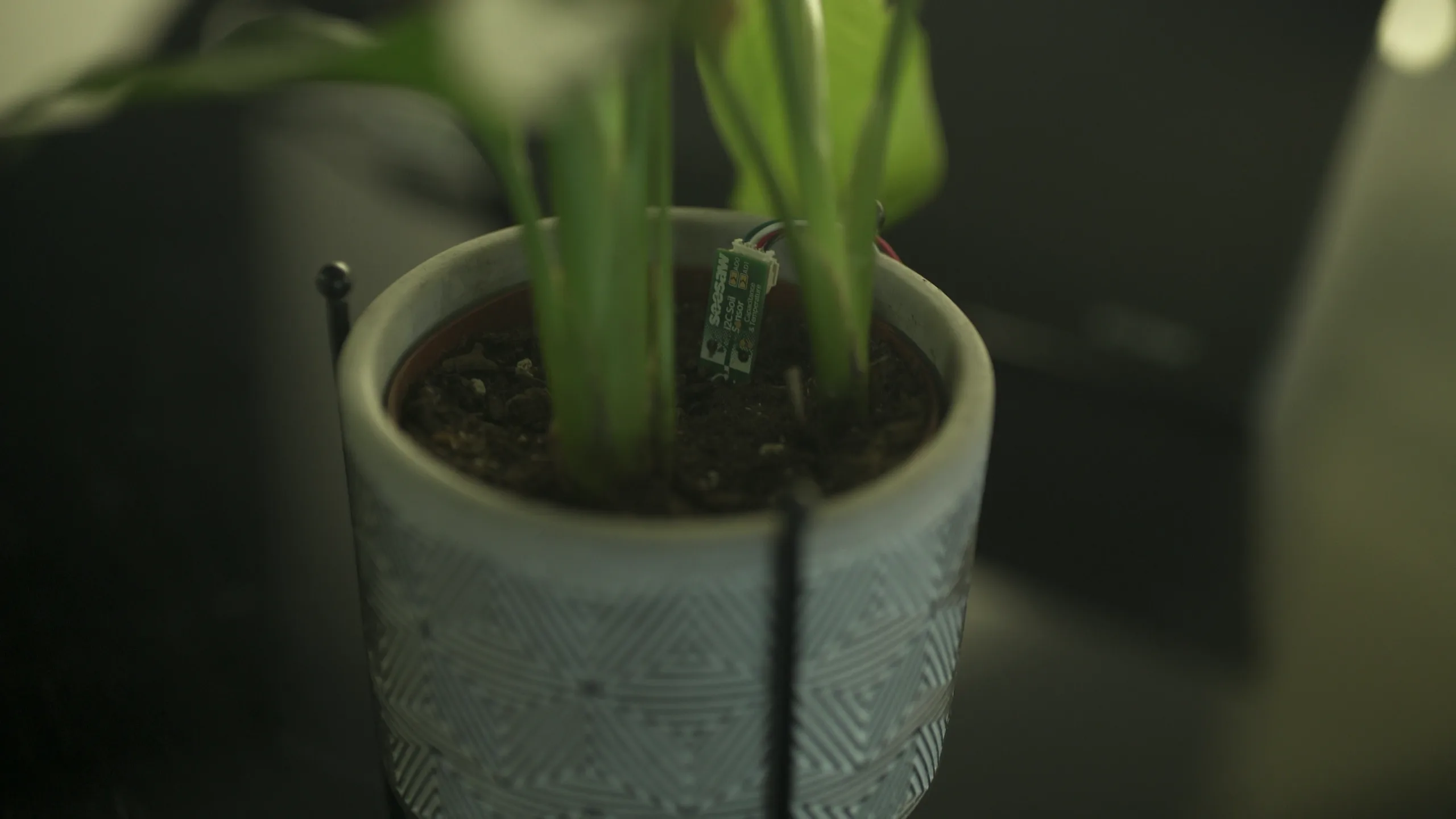 RefraSense, sensory interactive work