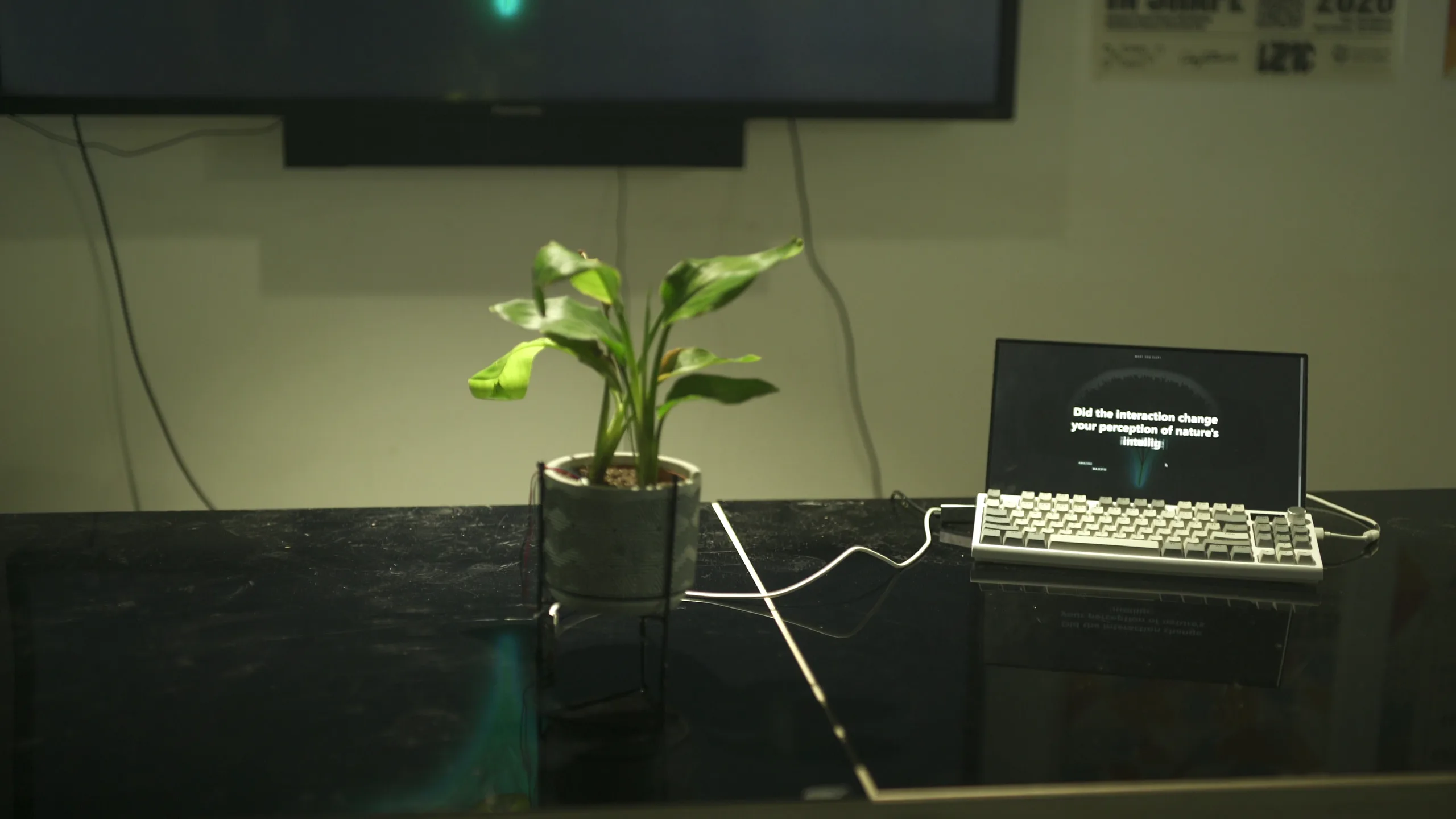 RefraSense, sensory interactive work
